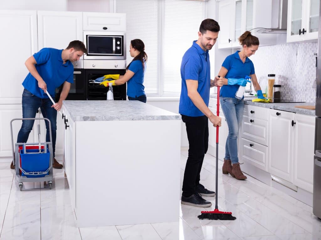 PROFESSIONAL HOUSE CLEANERS