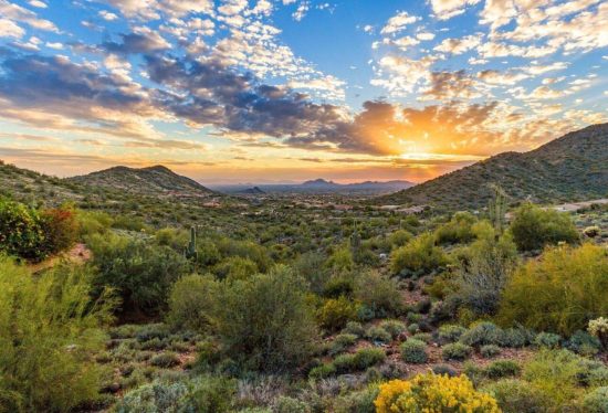 FOUNTAIN HILLS ARIZONA BEAUTY