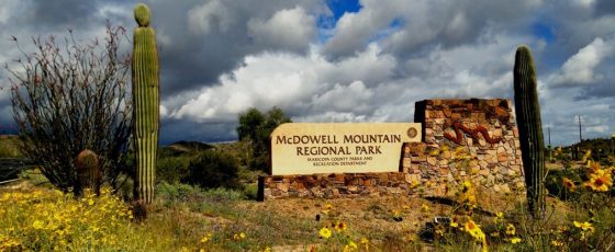 McDowell Mountain Regional Park